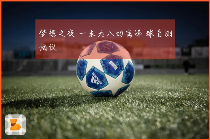 梦想之夜 一米九八的高峰 球盲测试仪